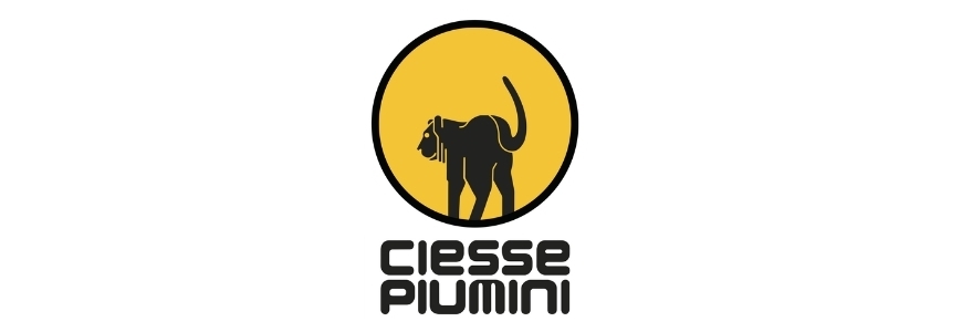 Ciesse piumini  1 