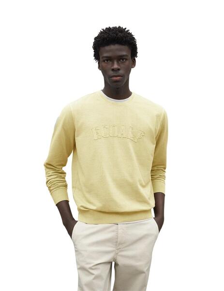 Gallery g00611 xraeclcf
