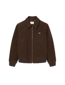 Lacoste Chaqueta de moleskin acolchada Marrón