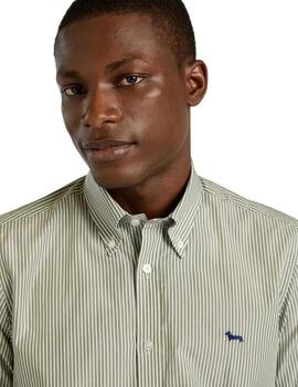 Harmont & Blaine Camisa perro salchicha Verde raya