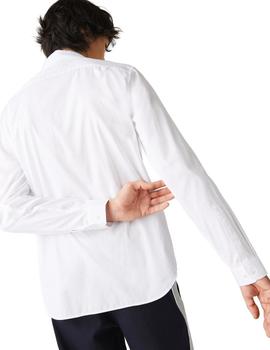 Camisa de hombre regular fit en algodón premium