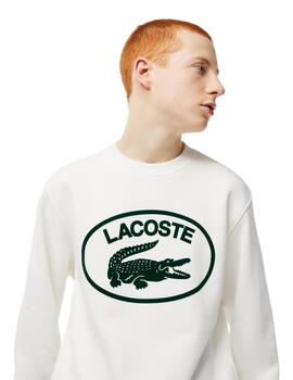 Lacoste Sweatshirt Farine/Vert