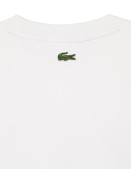 Lacoste Sweatshirt Farine/Vert