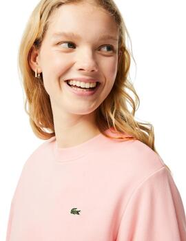 Lacoste Sweatshirt Nymphea