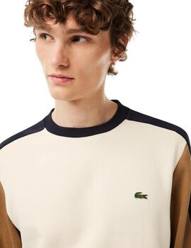 Lacoste Sweatshirt Laponie/Cookie-Abimes